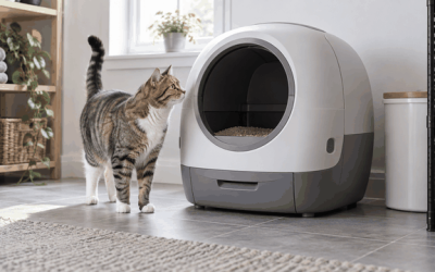 Best Petkit Litter Box in 2026: Specs and Prices Compared