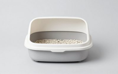 7 Best Washable Cat Litter Trapping Mats for Less Scatter