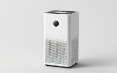 Best Air Purifier For Asthma And Pets