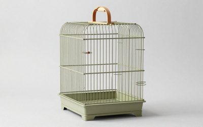 Best Bird Cages for Comfort, Safety, and Easy Cleaning