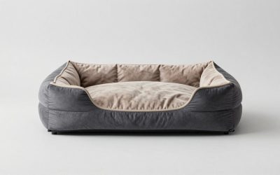 Best Calming Dog Beds Matched to How Your Dog Sleeps
