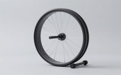 Best Cat Exercise Wheels for Indoor Energy and Play