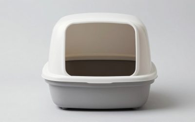 Best Cat Litter Boxes for Every Home and Cat