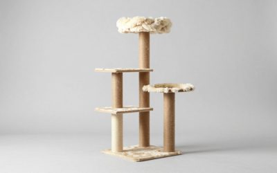 Best Cat Trees for Large Cats: Post Thickness, Perch Size, and Sturdy Picks