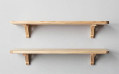Best Cat Wall Shelves for Safe, Stylish Vertical Climbing