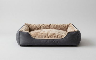Best Cooling Dog Beds for Hot Weather and Warm Sleepers