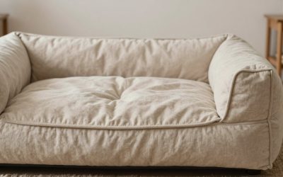 Best Dog Bed Blankets 2026: Warm, Washable, Waterproof