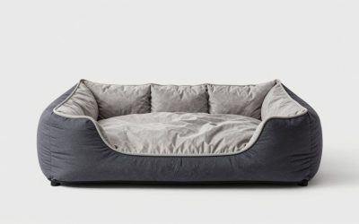 6 Best Dog Beds for Large Breeds (October 2026) Honest Reviews