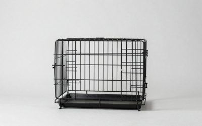 Best Dog Crates for Safe, Comfortable Containment