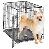 6 Best Dog Crates for Small Apartments (October 2026) Reviews & Picks