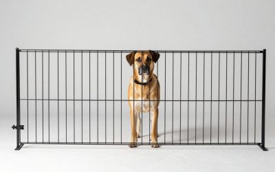 Best Dog Gates for Doors, Stairs, and Open Floor Plans