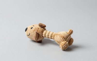 Best Dog Toys for Aggressive Chewers (2026)