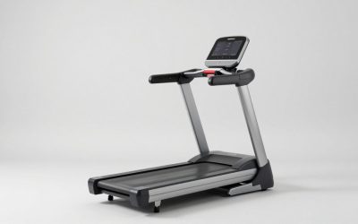 Best Dog Treadmills for Indoor Exercise
