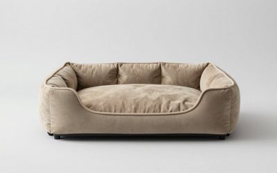 Best Elevated Dog Beds for Cool, Supportive Sleep