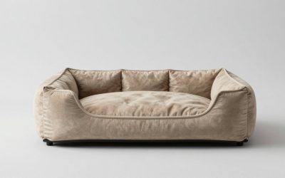 Best Elevated Dog Beds for Large Dogs: Frames, Fabrics, and Weight Limits