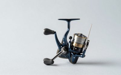 Best Fishing Reels for Freshwater and Saltwater