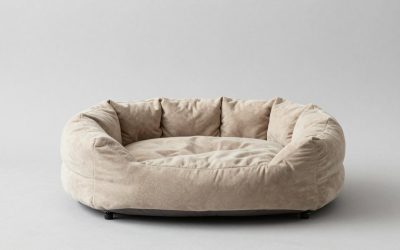 Best Heated Cat Beds for Warm, Comfortable Naps