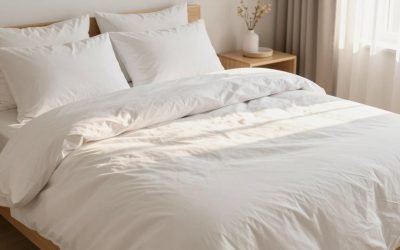 Best Heated Dog Beds for 2026: Electric vs Self-Warming Picks