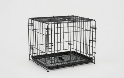 Best Heavy Duty Dog Crates for Escape Artists, Chewers, and Strong Dogs