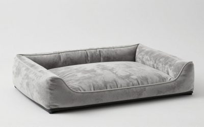 Best Memory Foam Dog Beds: Foam Types, Thickness, and Top Picks