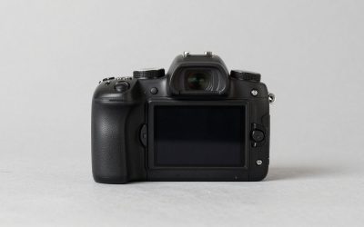 Best Nikon Cameras for Wildlife Photography
