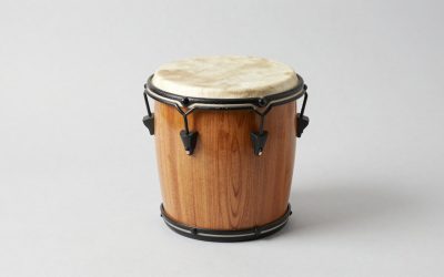 Best Riq Drums for Beginners and Performers