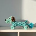 Best Rope Dog Toys 2026: Tug, Fetch and Chew Picks