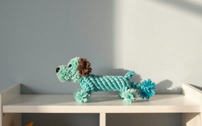 Best Rope Dog Toys 2026: Tug, Fetch and Chew Picks