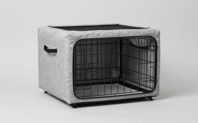 Best Soft Sided Dog Crates for Travel, Shows, and Camping