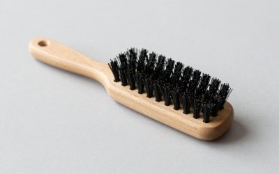 Cat Brush for Shedding: 6 Gentle Tools for Short and Long Coats