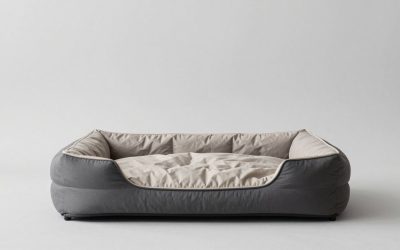 Dog Beds for Arthritic Dogs: 7 Supportive Picks and What to Check
