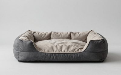 Dog Beds for Large Dogs: Sizing, Foam Depth and Bolster Styles