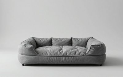 Dog Beds for Older Dogs: 7 Low-Entry, Joint-Friendly Picks
