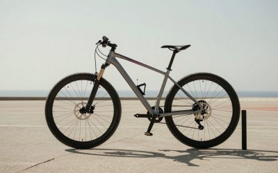 Best Giant Mountain Bikes in 2026: Top Picks for Every Budget