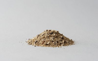 Litter for Self-Cleaning Litter Boxes: 7 Picks by Box Type